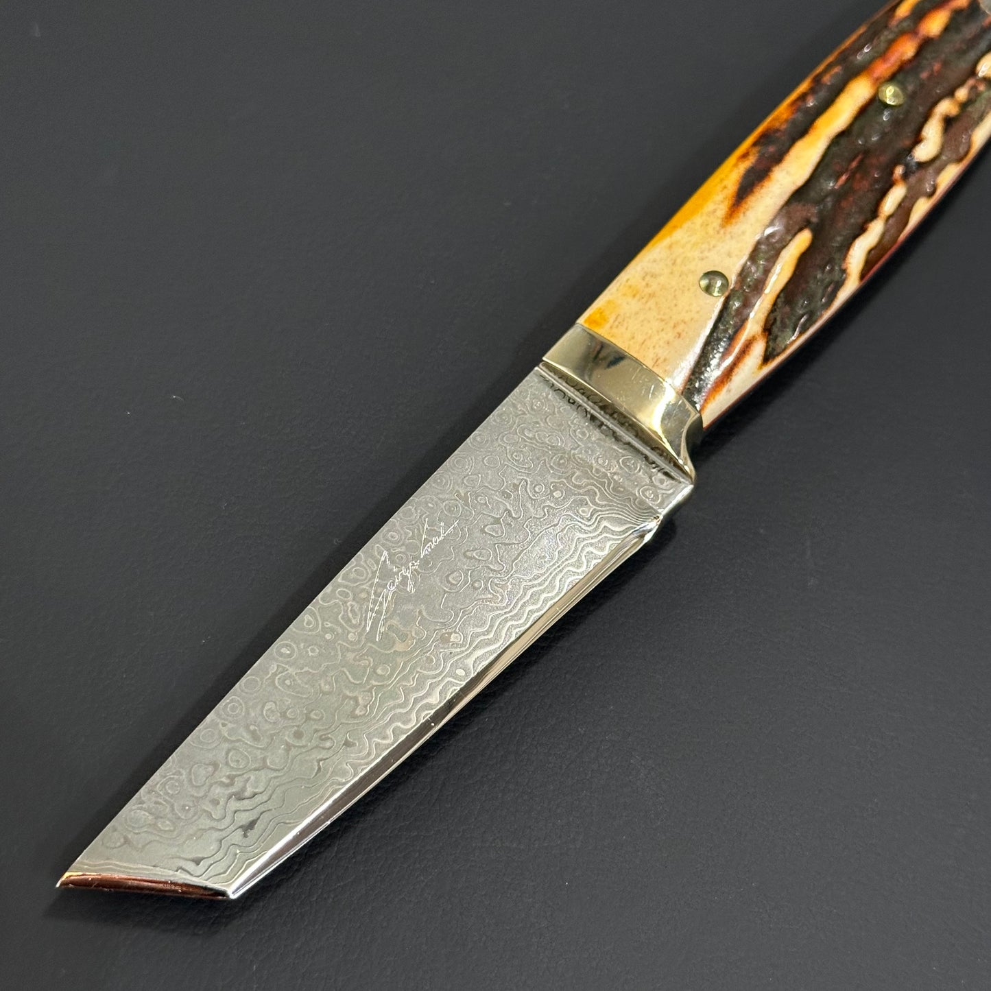 Sheath Knife VG10 Stag (Seizo Imai)